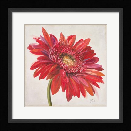 Framed Red Gerber Daisy Print