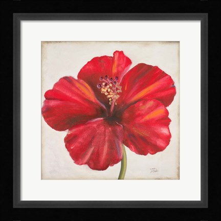 Framed Red Hibiscus Print