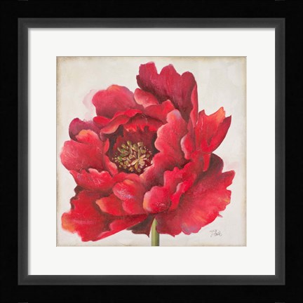 Framed Red Peony Print