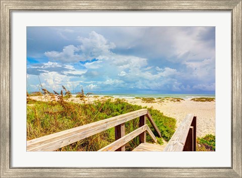Framed Beach Island I Print