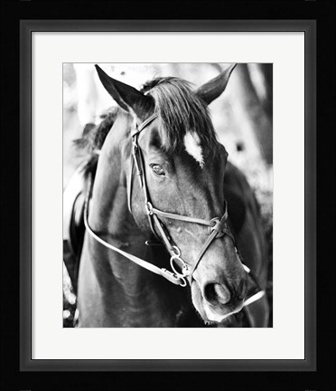 Framed Derby I Print