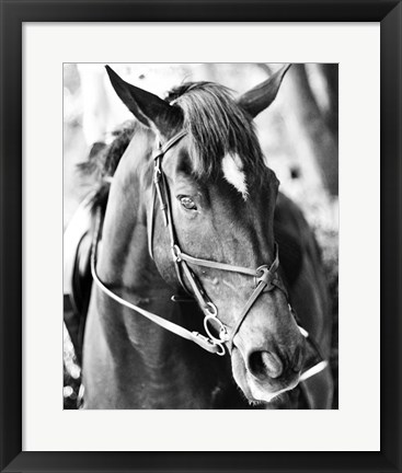 Framed Derby I Print