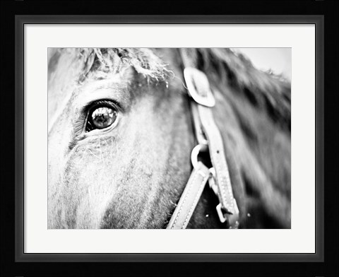 Framed Horseback Riding Print