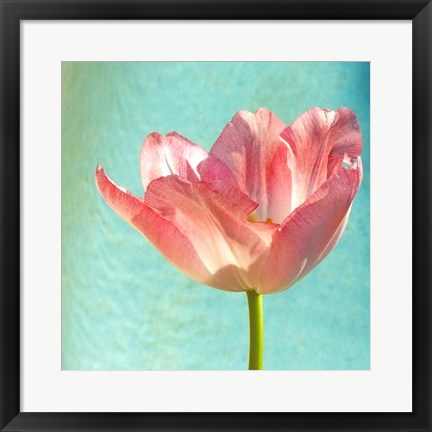 Framed Pink Tulip Print