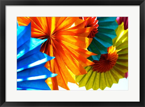 Framed Paper Flowers Print