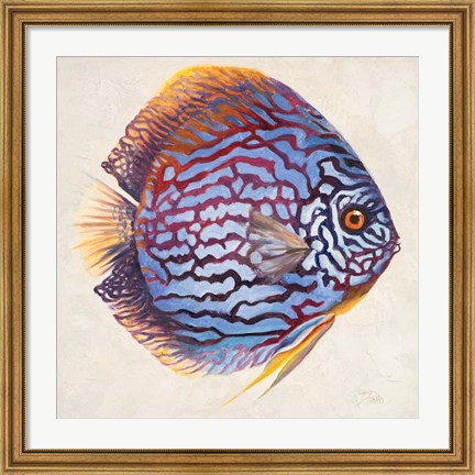 Framed Little Fish I Print
