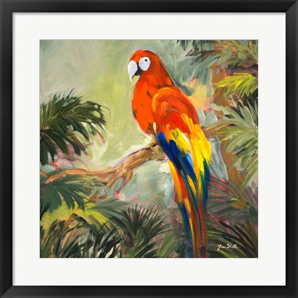 Framed Parrots at Bay I Print