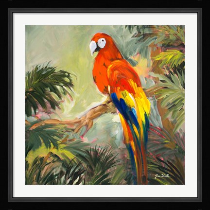 Framed Parrots at Bay I Print