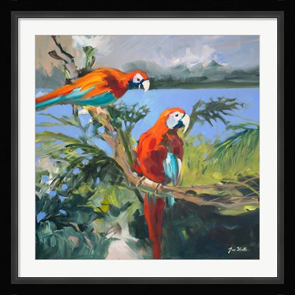 Framed Parrots at Bay II Print
