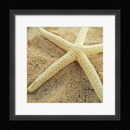 Framed Starfish Print