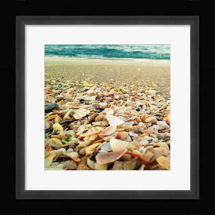 Framed Shells Beach II Print