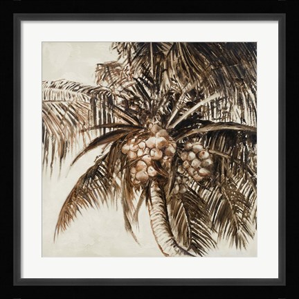 Framed Coconut Palm I Print