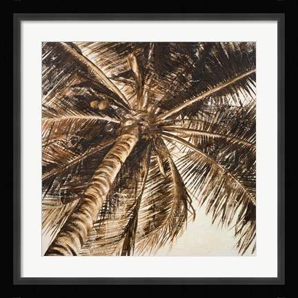 Framed Coconut Palm II Print