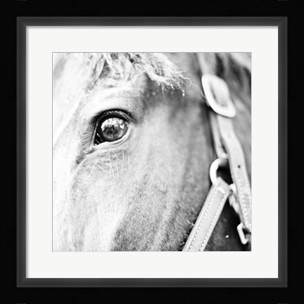 Framed In the Stable I Print