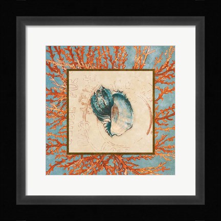 Framed Coral Medley Shell II Print