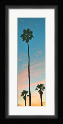 Framed Sunset Palms Print