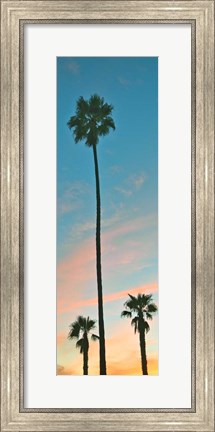 Framed Sunset Palms Print