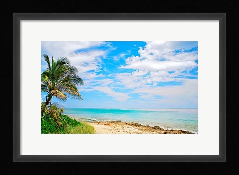 Framed Paradise Print