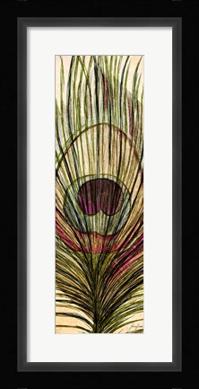 Framed Peacock Feather I Print