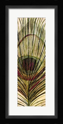 Framed Peacock Feather II Print