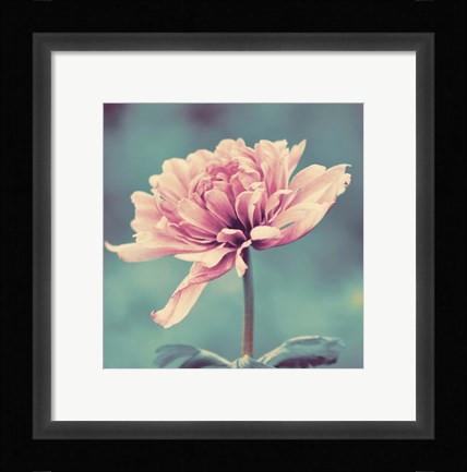 Framed Gorgeous Pink Print