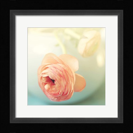 Framed Vintage Peony II Print