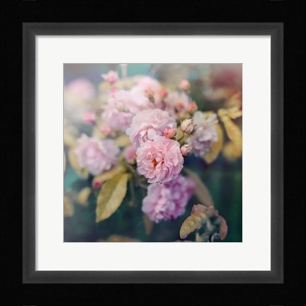 Framed Season of Blossoms Print