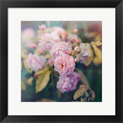 Framed Season of Blossoms Print