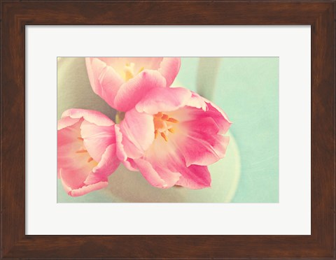 Framed Resplendent Blossoms II Print