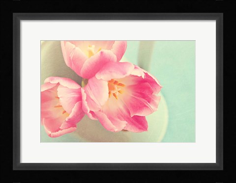 Framed Resplendent Blossoms II Print