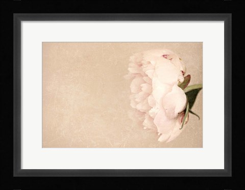 Framed Alluring Flower Print