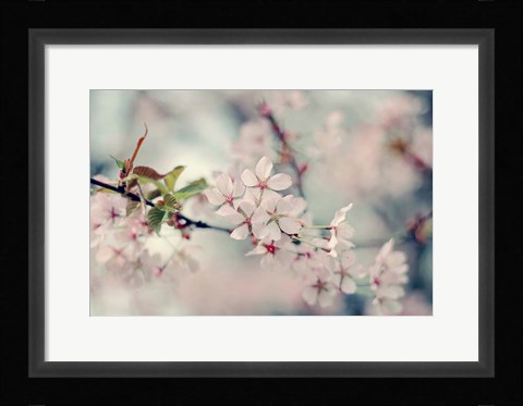 Framed Branch of Beauty Print