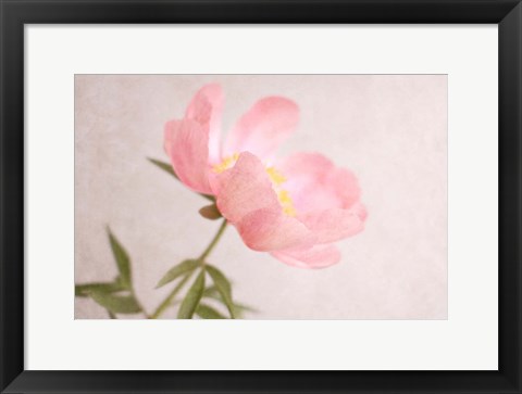 Framed Soft Petals Print