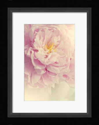 Framed Angelic Petals Print