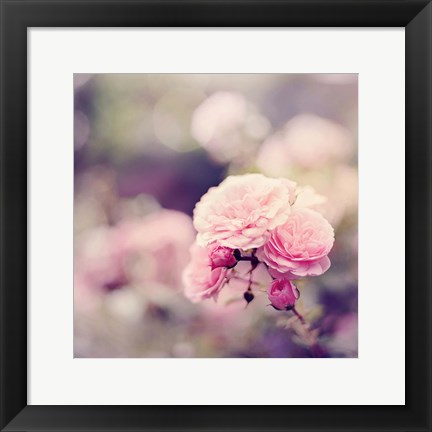 Framed In the Garden Print