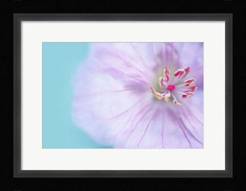 Framed Heart of a Flower Print