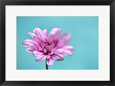 Framed Surrounded in Blue Print