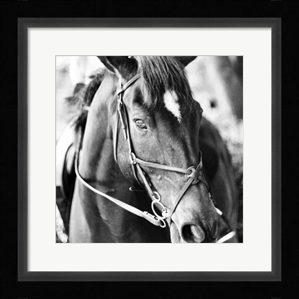 Framed Derby Square III Print