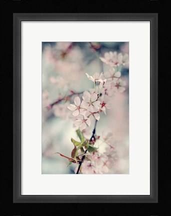 Framed Branch of Beauty Vertical Print