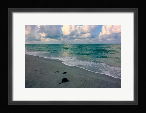 Framed Emerald Sea Print