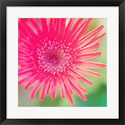 Framed Pink Fun I Print