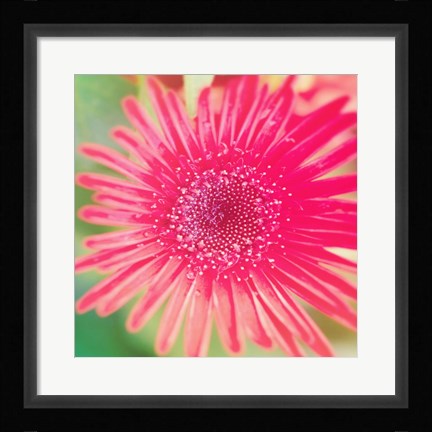 Framed Pink Fun II Print