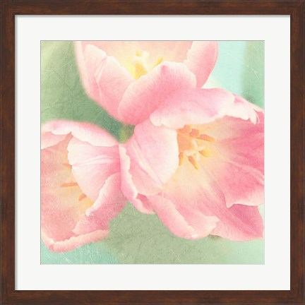 Framed Resplendent Blossoms I Print