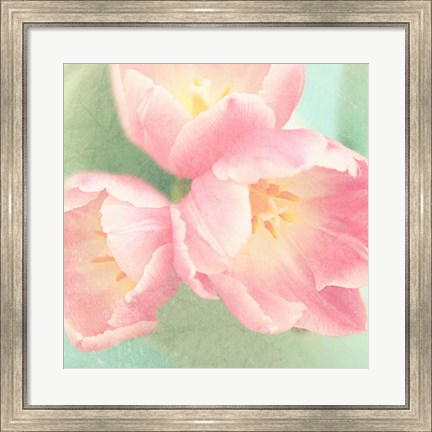 Framed Resplendent Blossoms I Print