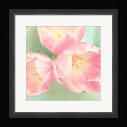 Framed Resplendent Blossoms I Print