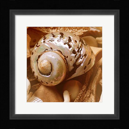 Framed By the Seashore Square II Print