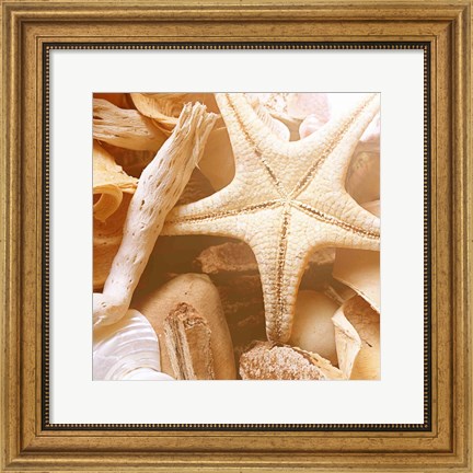 Framed By the Seashore Square I Print