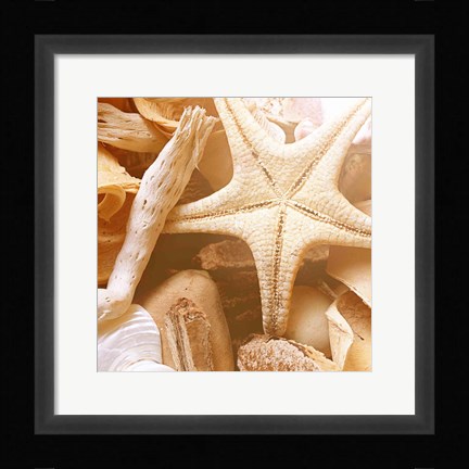 Framed By the Seashore Square I Print