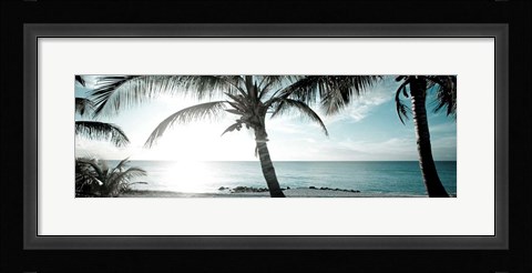 Framed Cool Bimini I Print