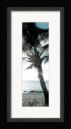 Framed Cool Bimini Palm I Print